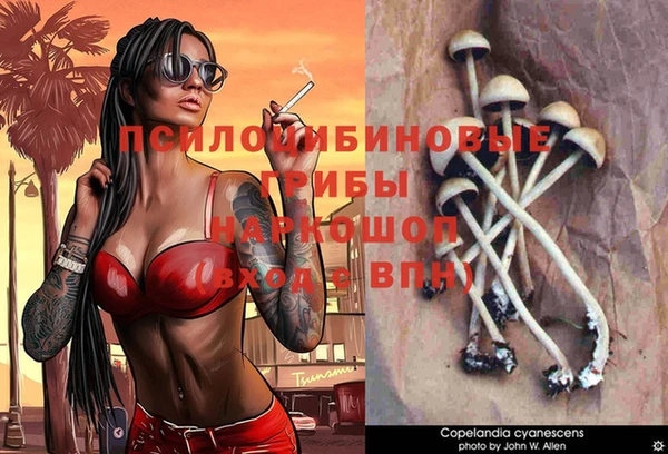 гидра Абинск