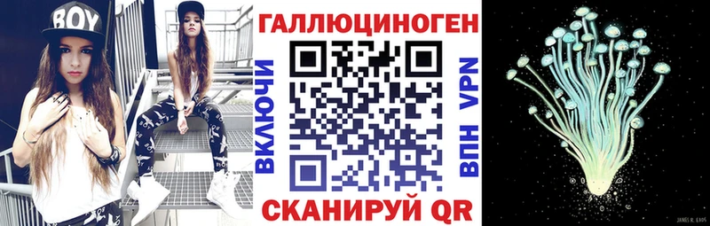 наркота Алапаевск Галлюциногенные грибы Psilocybe